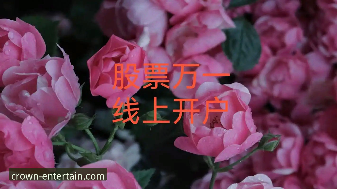 皇冠国际娱乐平台信誉保障与安全使用必备指南